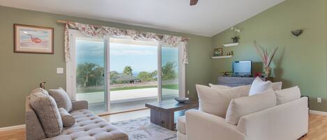 Tv, dvd-spelare, böcker och ett filmbibliotek