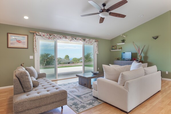 TV, DVD player, books, video library