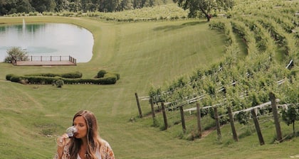 ♨️Hot Tub🌳Forest🍷Wineries🍔Grill 🎦ROKU📧WiFi📺 HDTV🛏️Queen ❤️ Comfy 🆒 Gem🌎