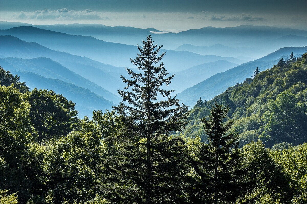 Photo 184 of Amazing view, HotTub, Arcade,Theater,FirePit,Grill,Sauna,Putt putt, Pet Friendly