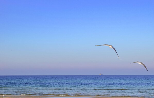 Beach nearby
