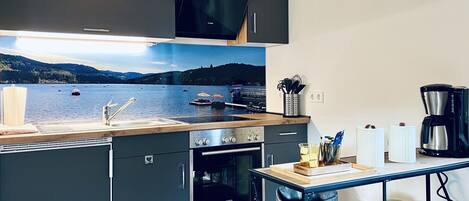 Fridge, oven, stovetop, coffee/tea maker