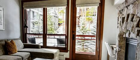 Télévision à écran plat, cheminée, livres