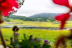A rural landscape with fields, a body of water, and distant buildings.