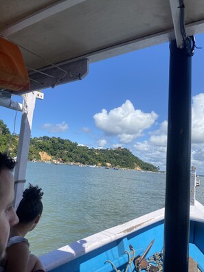 Área da propriedade