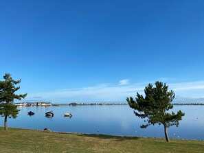 Eksteriør