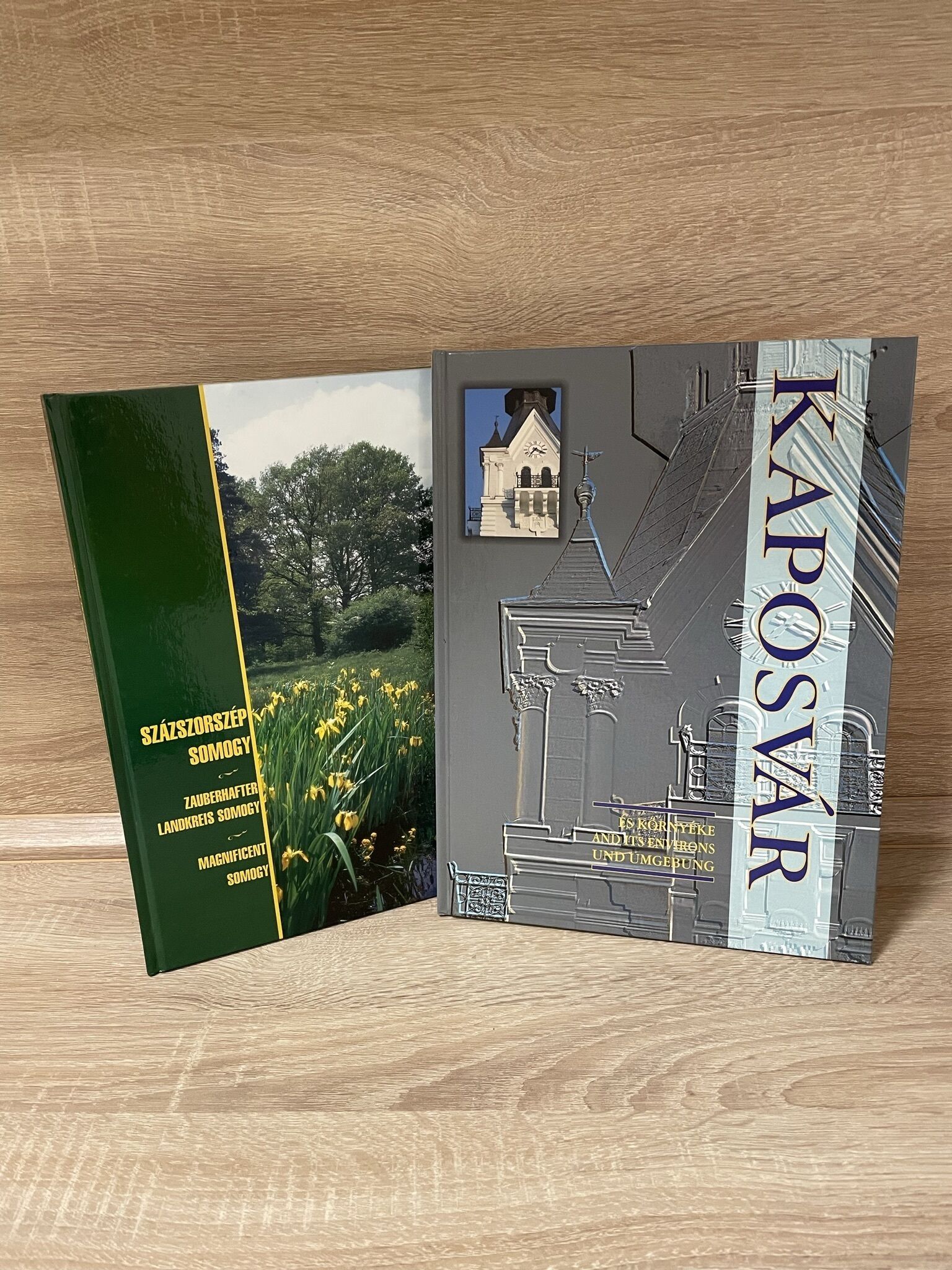 Ein Buch mit dem Titel „KAPOSWAR“, dessen Umschlag eine Illustration eines Gebäudes und einer Landschaft mit gelben Blumen zeigt.