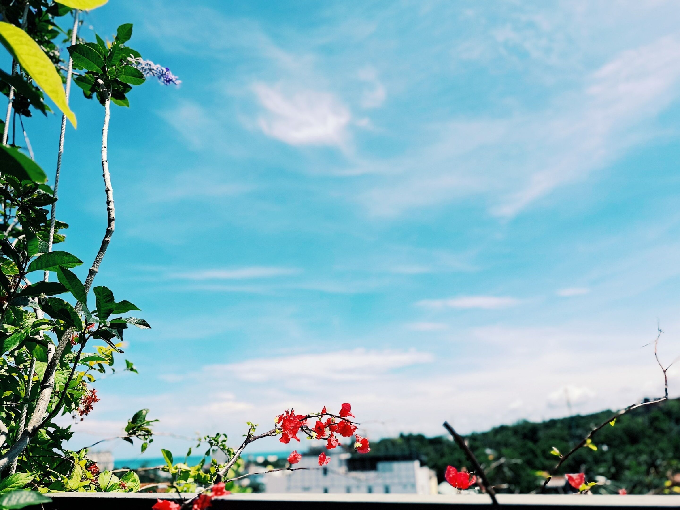 Photo - Rosetta Hotel Phu Quoc