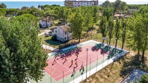 Vista aérea de una zona residencial con una cancha de baloncesto rodeada de árboles y casas.