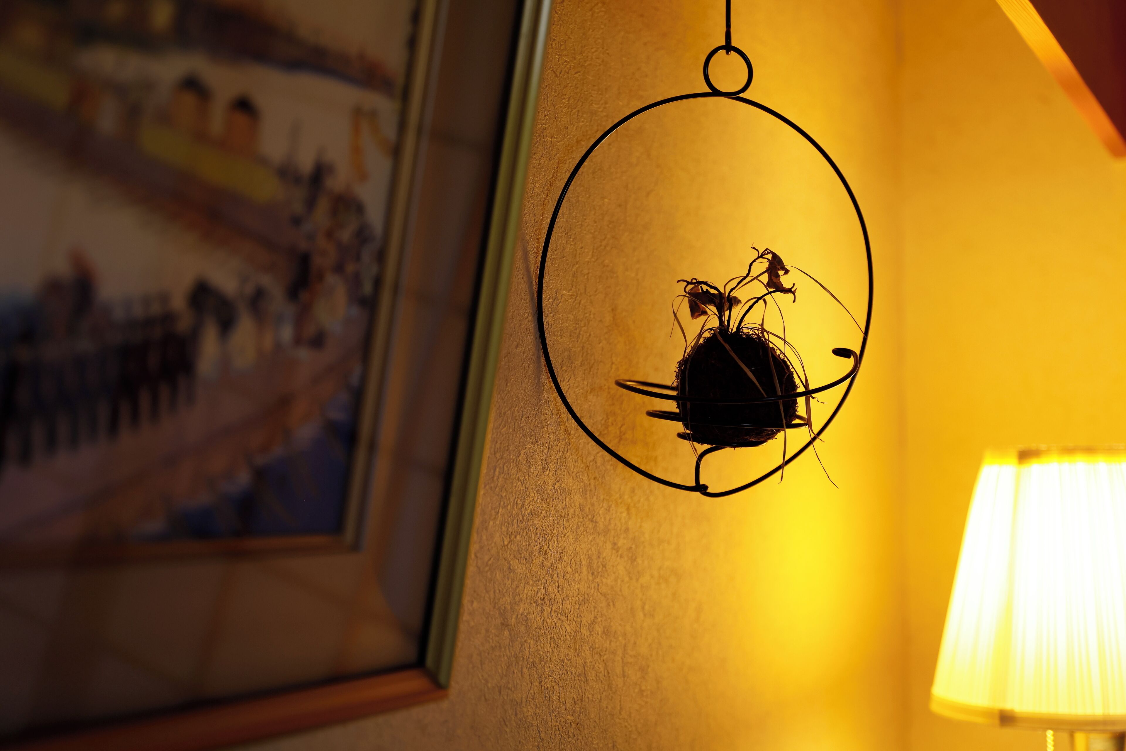 Un luminaire mural de forme circulaire, un tableau encadré et une lampe placés à droite.