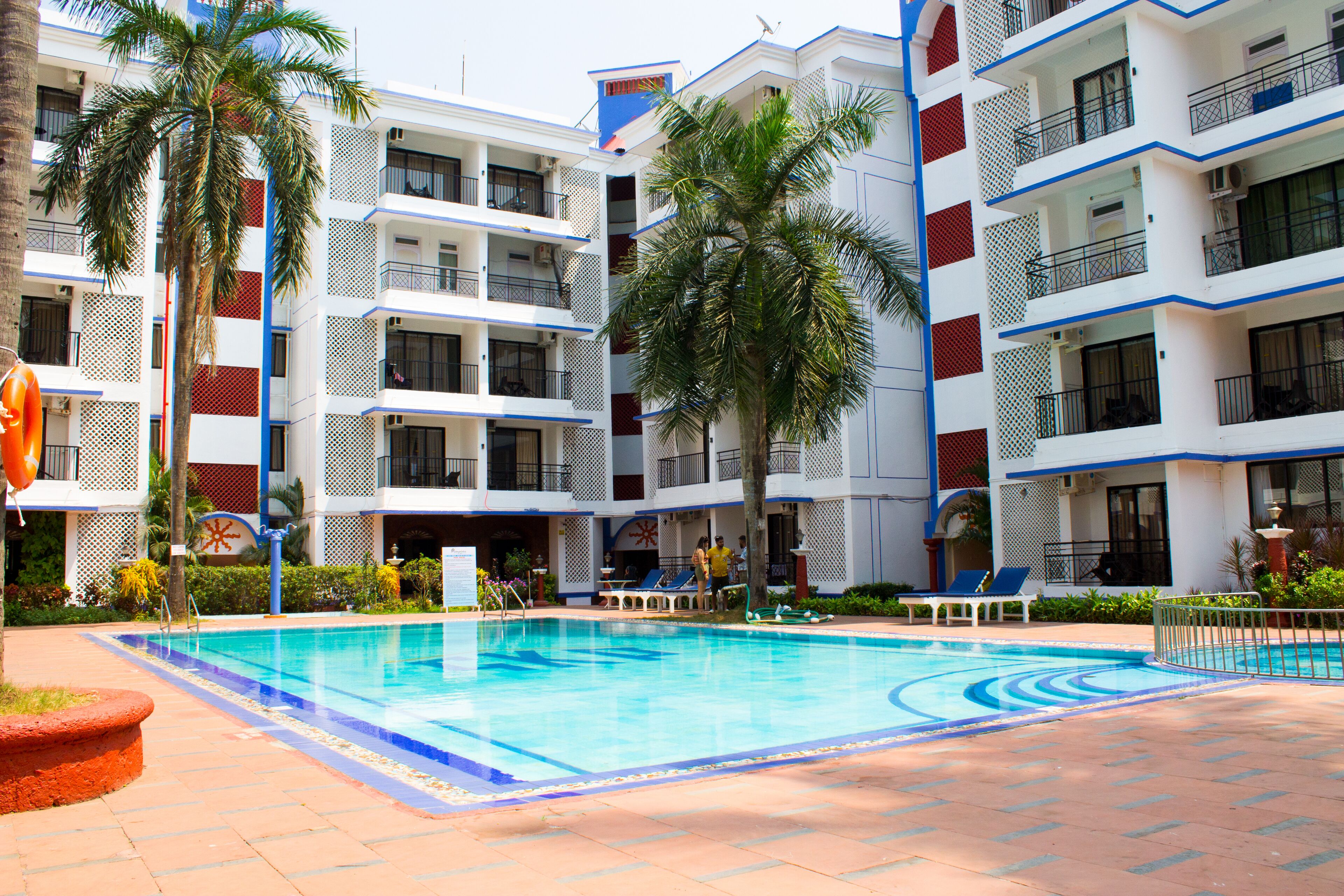 Foto - Palmarinha de Goa