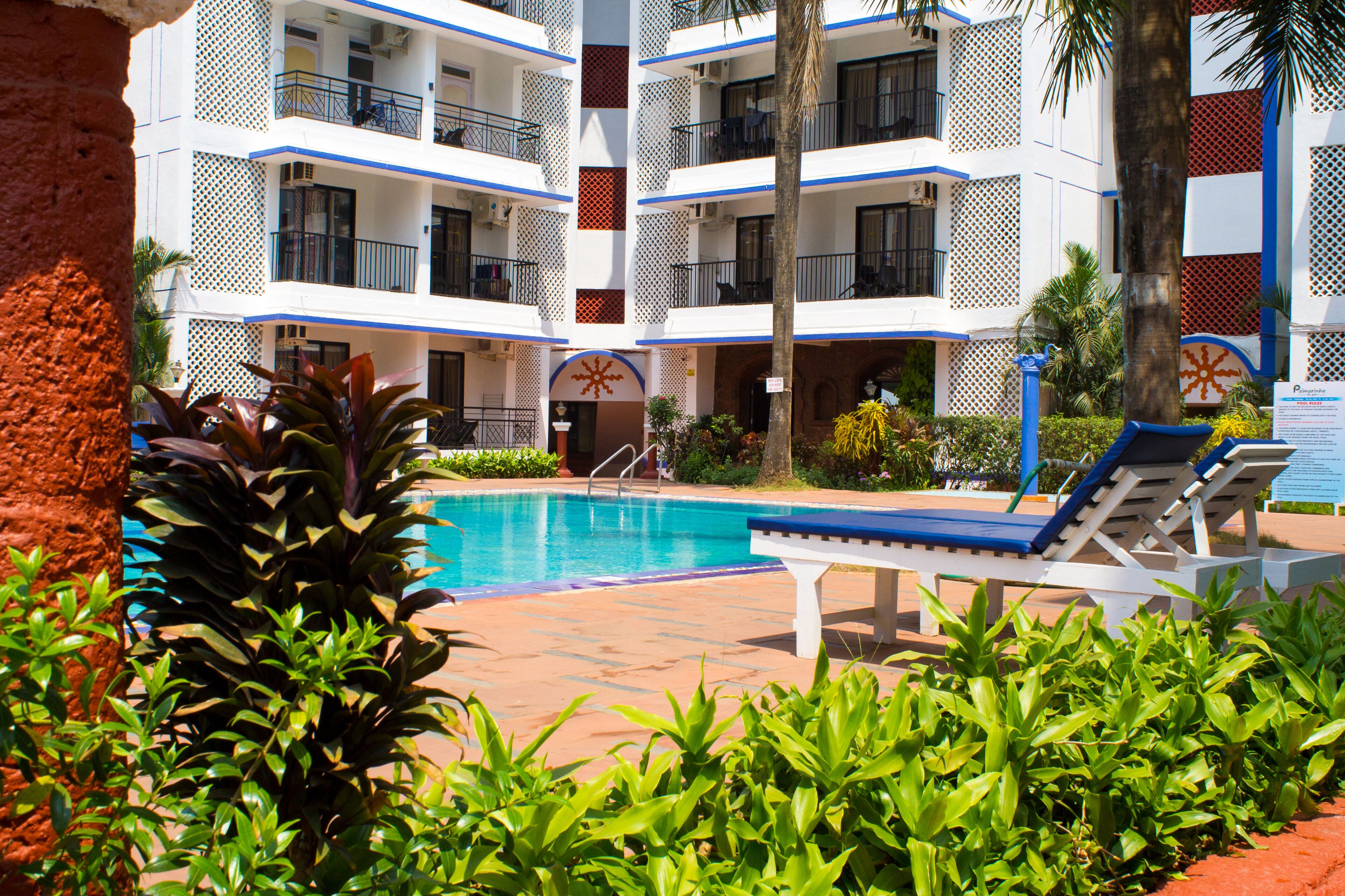 Foto - Palmarinha de Goa