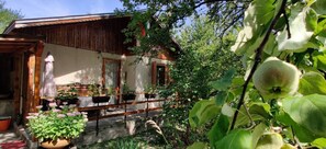 Exterior - Cottage in the Rhodope mountain (Debrashtitsa)
