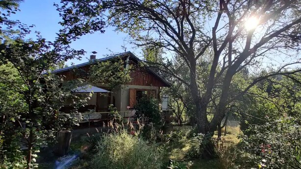 A rustic cabin surrounded by dense foliage and a small stream.