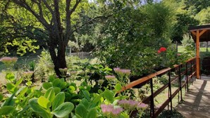 A garden with a wooden pergola, lush greenery, and flowering plants.
