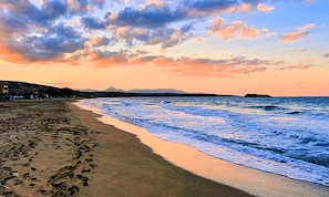 Plage à proximité, chaises longues, serviettes de plage