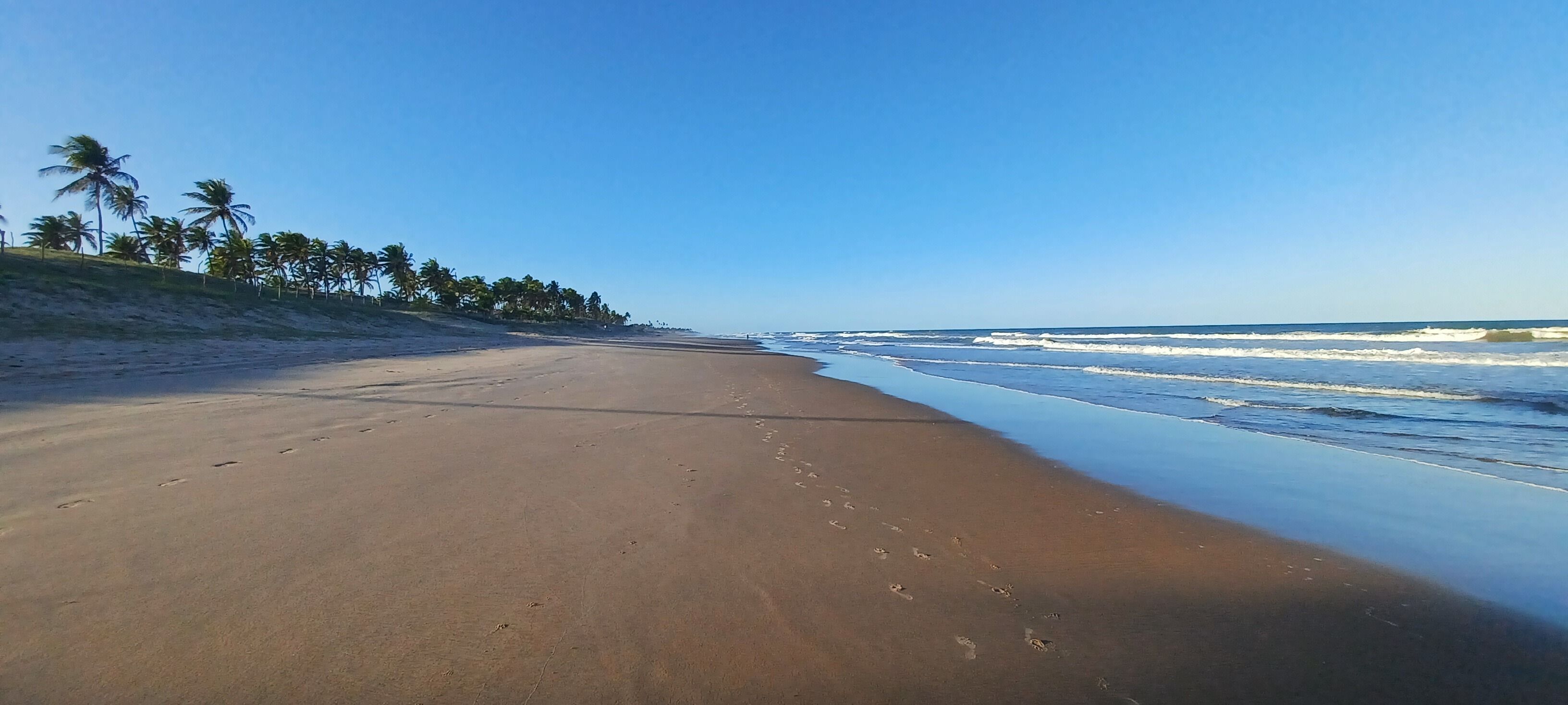 A sandy beach with footprints, palm trees, and a clear blue sky.