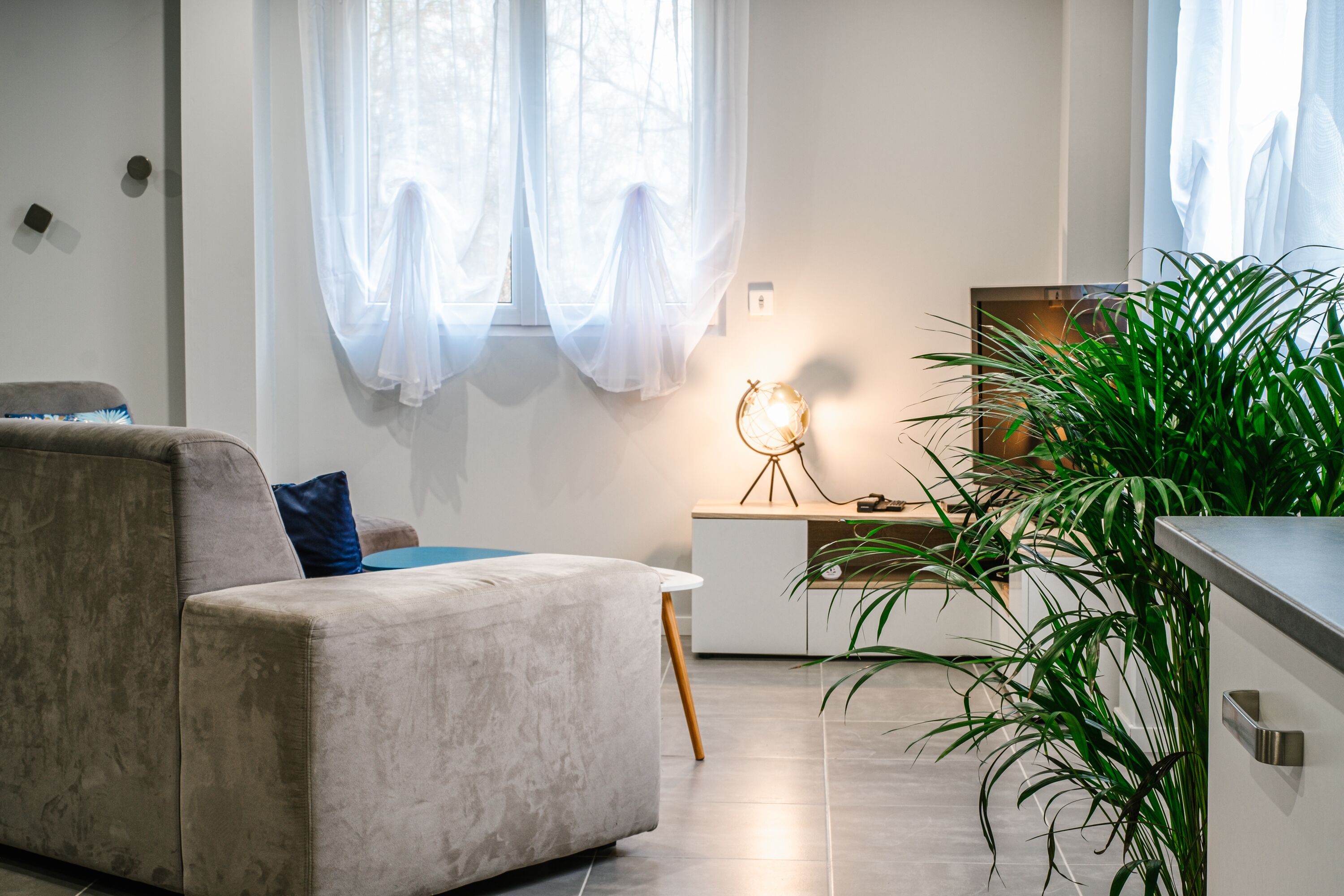 A modern living room with a sofa, a side table with a lamp, and a large green plant.