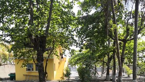 Un sendero bordeado de árboles que conduce a un edificio amarillo con escaleras.