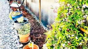 Un jardín con plantas en macetas, una silla de madera y una cerca de metal.