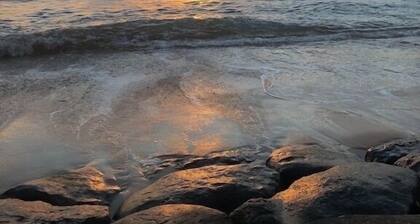 Eco Retreat in Quiet Arcata Neighborhood with a private courtyard & kitchenette