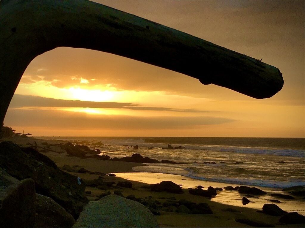 Ubicación a pie de playa y tumbonas