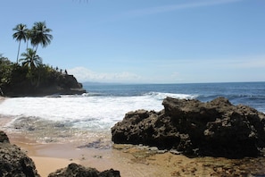 A beach with rocky terrain, palm trees, and the ocean.