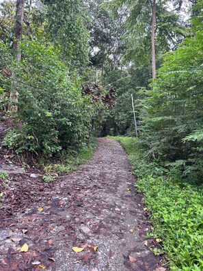 星評価なしの画像、4 / 33、ボタン