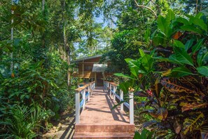 Property grounds - Blue Maverick for Nature Lovers~ 4WD ONLY! (Puerto Viejo de Talamanca)