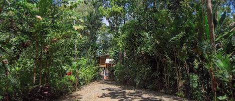 Terrain de l’hébergement