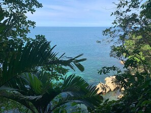 Oklassificerad bild, 5 av 33, knapp