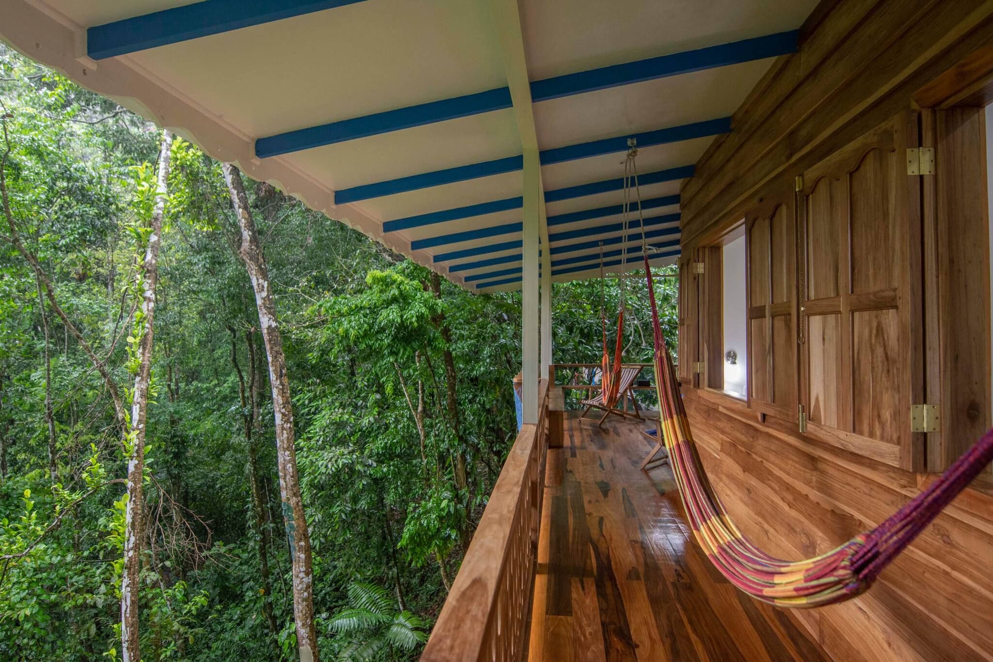 Un intérieur en bois avec un hamac, un plancher en bois et une vue sur une forêt dense.