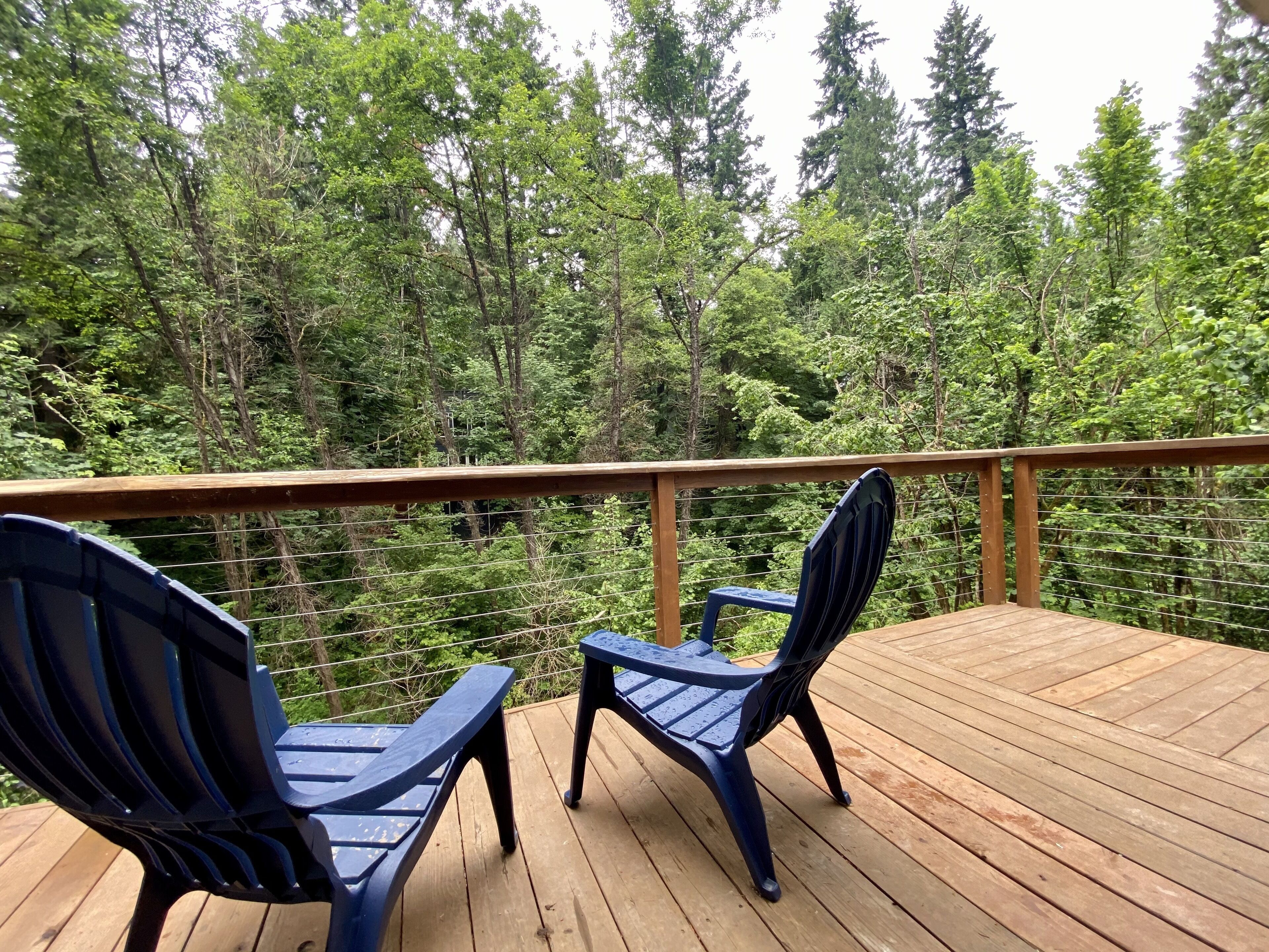 Quiet Cottage in the Trees - Close to Downtown, OHSU, Lewis & Clark!