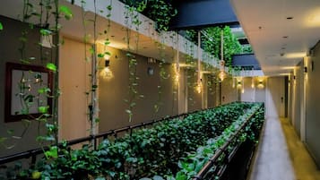 Jardin