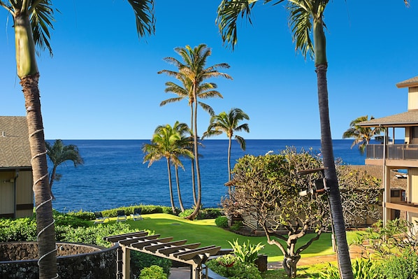 Terrain de l’hébergement