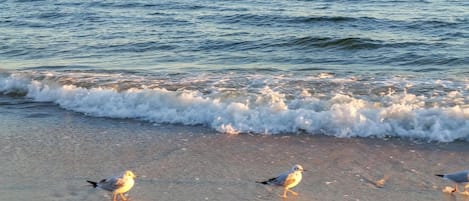 Beach nearby