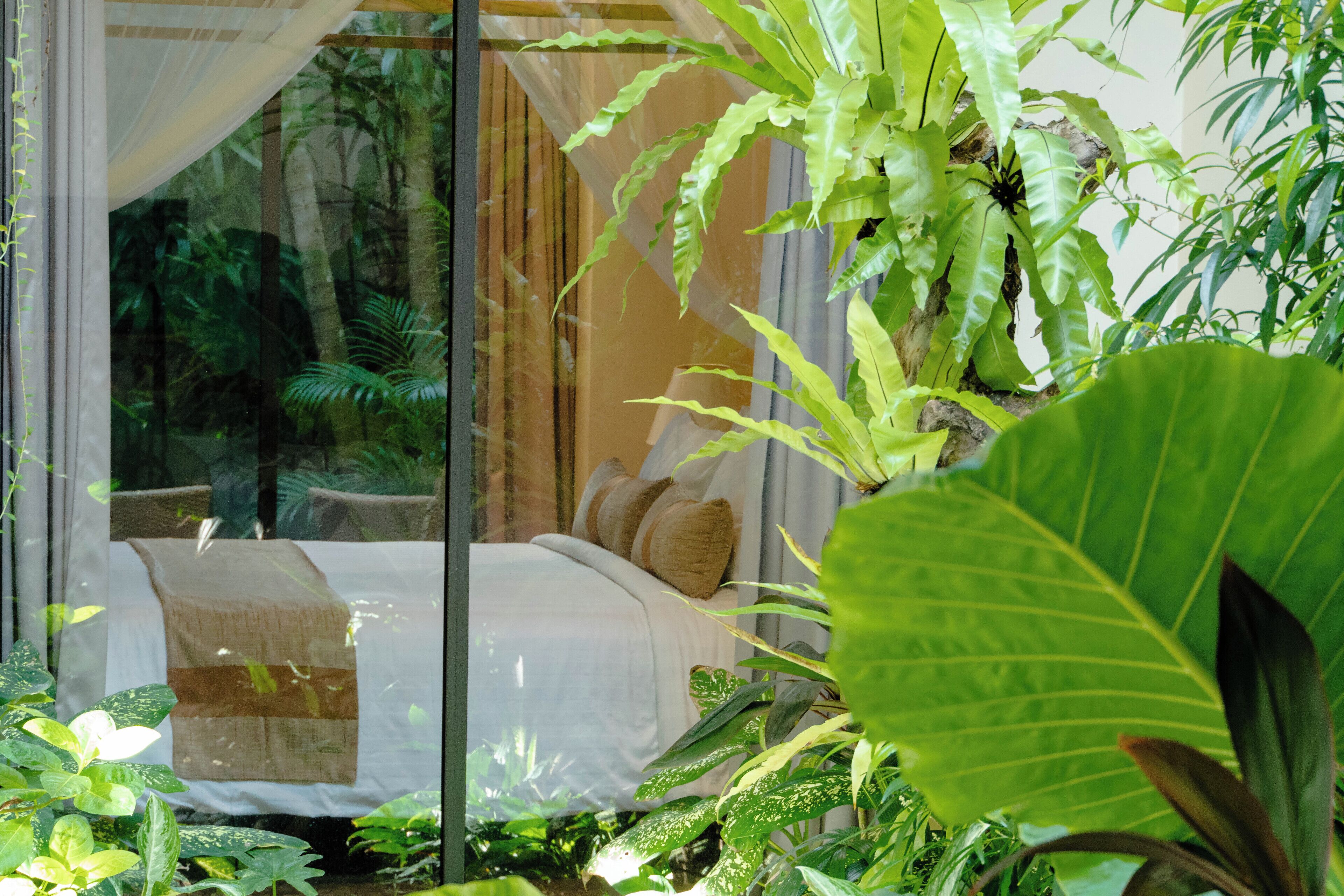 Un dormitorio con cama, cortinas y abundante vegetación verde.