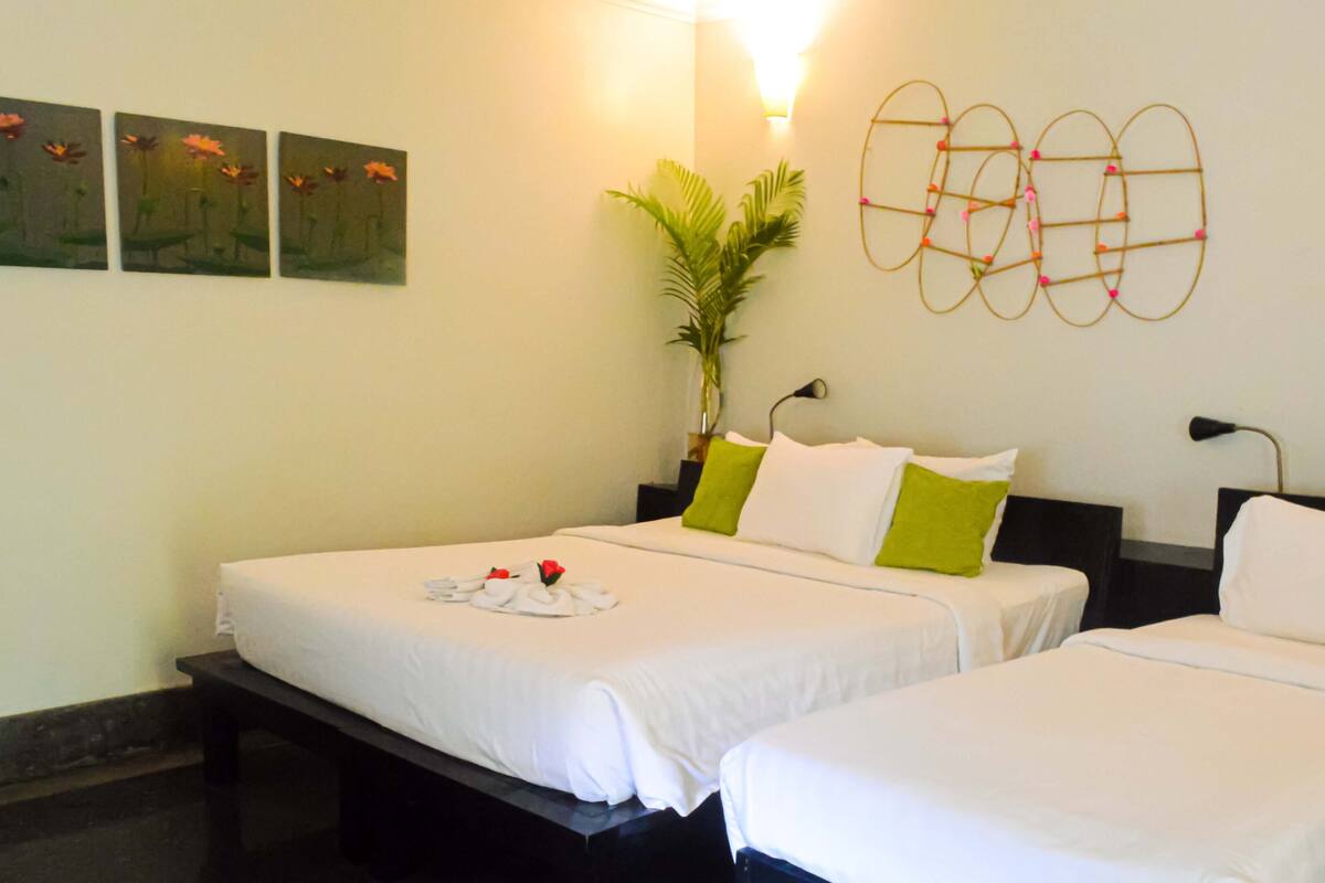 Basic Single Room | Desk, free WiFi, bed sheets