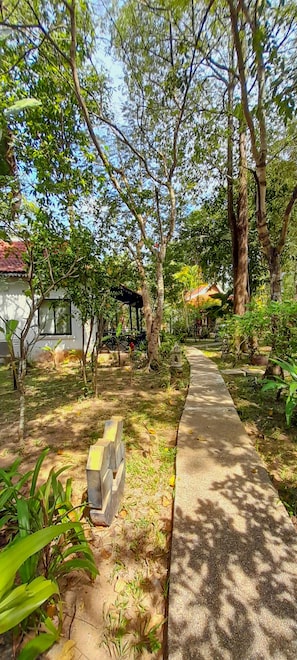 Garden view
