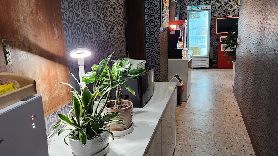 Hotel Hany
