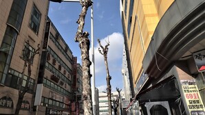 A narrow street with tall buildings, a tree with exposed roots, and a sign for SBS. - Hotel Hany (Daejeon)