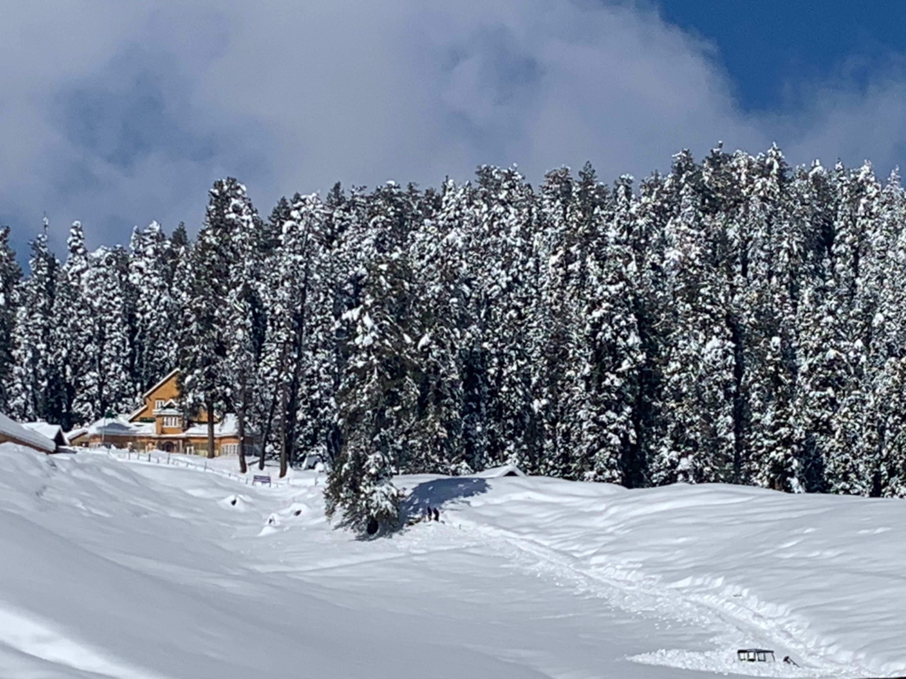 A snow-covered landscape with a lodge and dense forest.