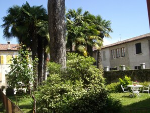 Un patio con una palmera, un arbusto grande y un edificio blanco de techo con tejas.