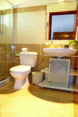 House, 2 Bedrooms, Smoking | Bathroom