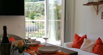 Delightful Sant'Anna Apartment 1 in Salo - Lake Garda.