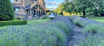 Family retreat with helicopter landing pad