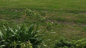 Un extenso campo cubierto de hierba con una cerca de madera y montañas a lo lejos.