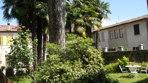 Ein Innenhof mit einer Palme, einem großen Busch und einem weißen Gebäude mit Ziegeldach.