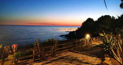 Oasis by the sea - cottage 6 On the beach.