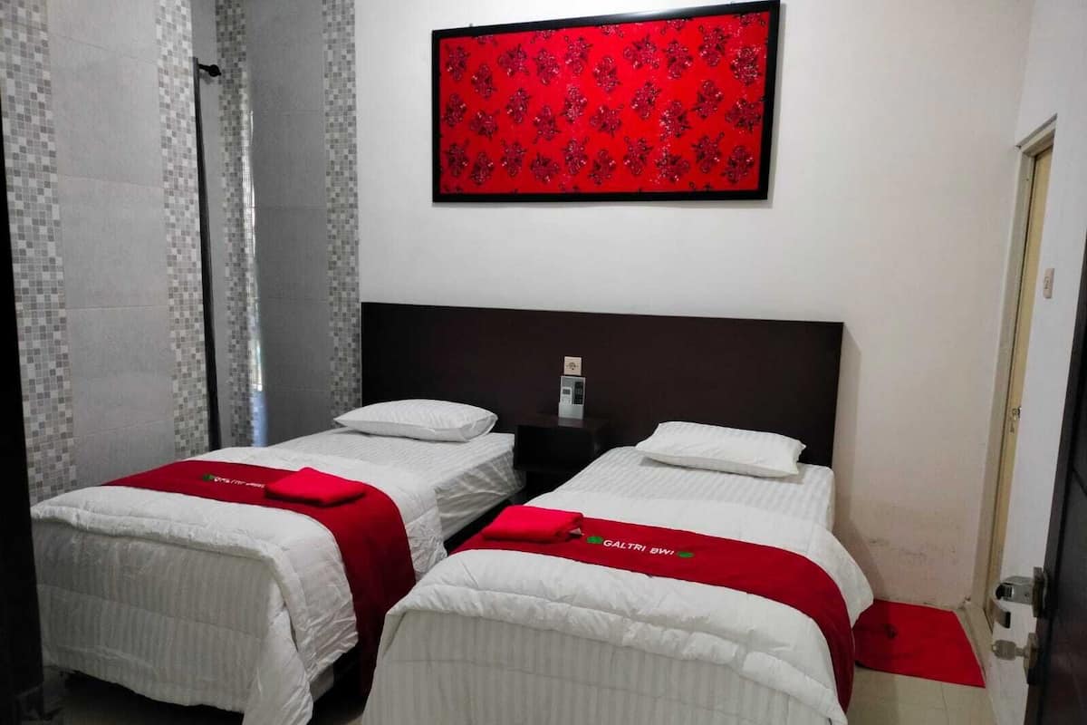 Habitación básica con 2 camas individuales | Espacio para trabajar con un portátil